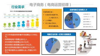 电子商务专业专业定位