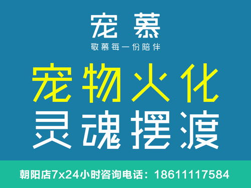 高价宠物殡葬服务兴起，万元收费引关注，宠物主人情感寄托与经济压力并存