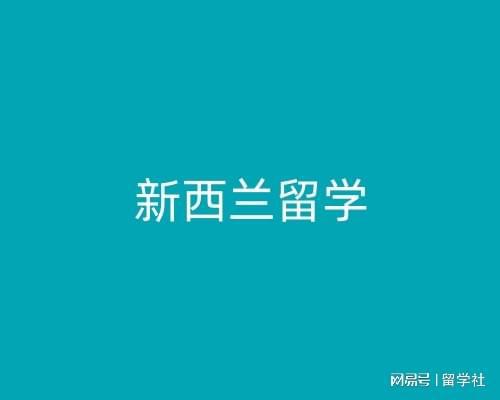 新西兰电子商务专业薪水