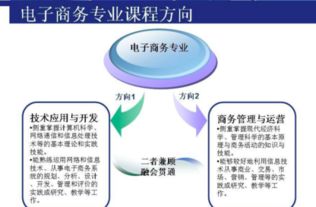 电子商务专业适合干嘛