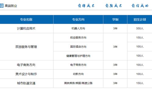 对于电子商务专业计划