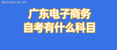 电子商务专业考法硕