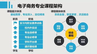 电子商务专业综合技能