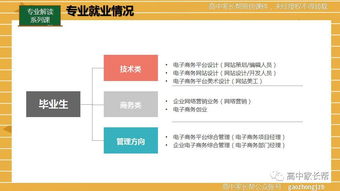 电子商务专业分什么系列