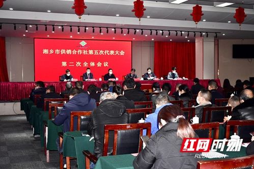 湘乡电子商务专业过线率