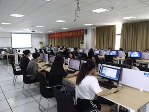 大学电子商务专业是什么