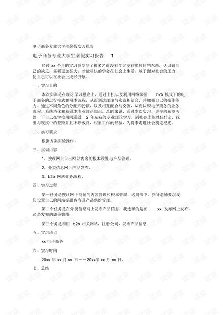 实训报告电子商务专业