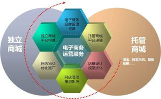 电子商务类专业是啥类别