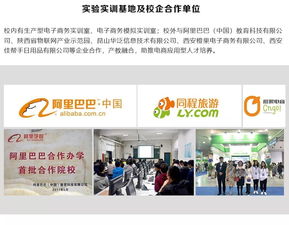 经济信息系电子商务专业